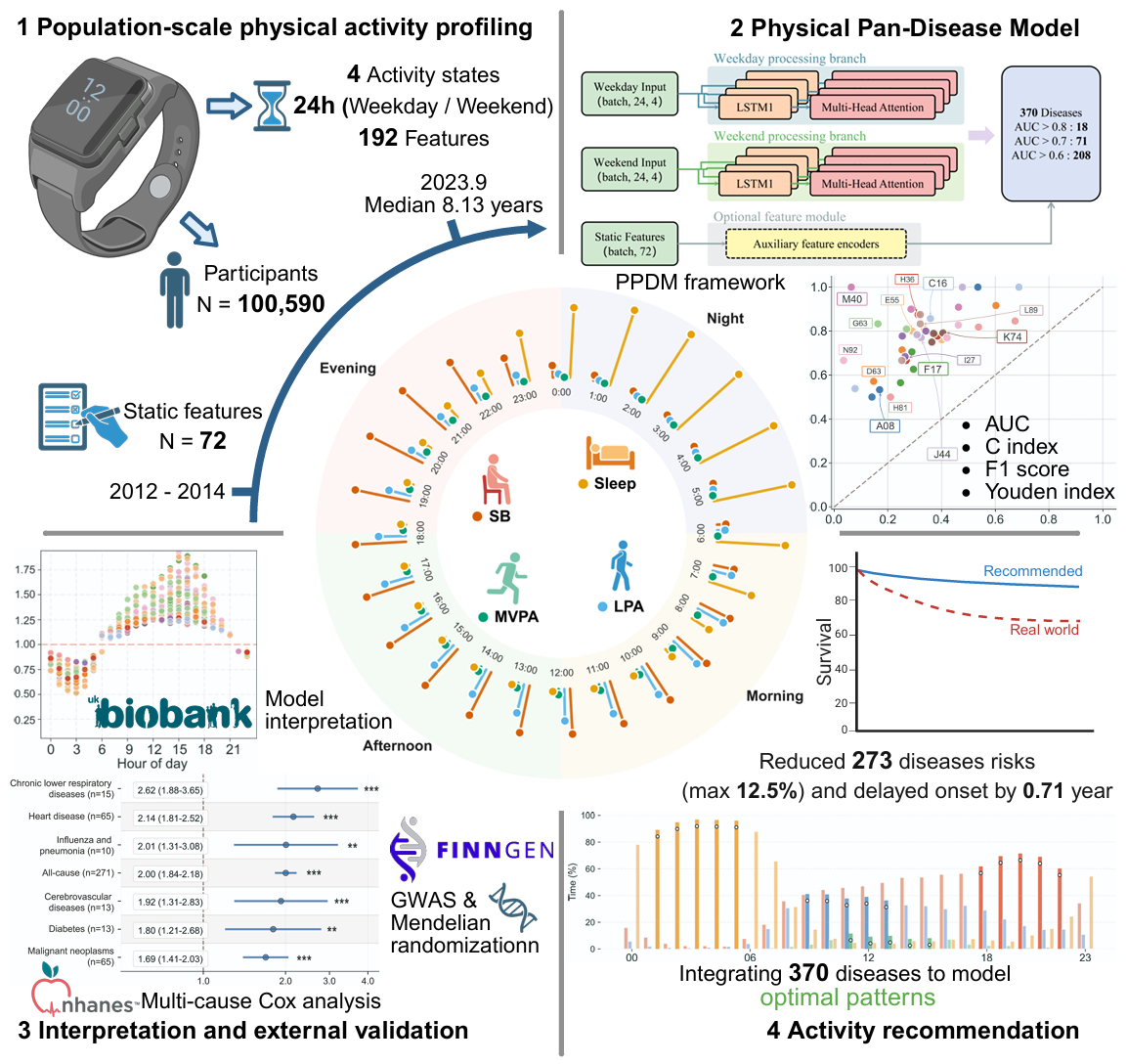 Movement Health Prediction System Architecture